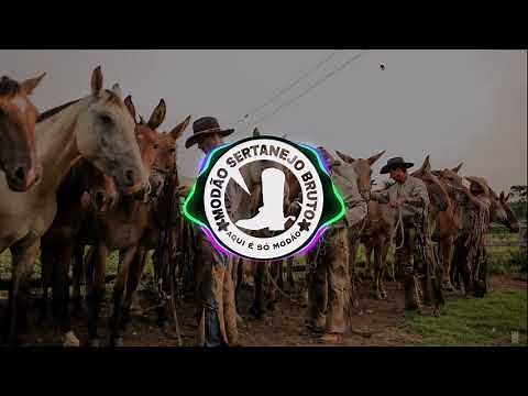 MODÃO DE VIOLA PARA CHURRASCO [ MODA CAIPIRA]《Modão Sertanejo Bruto》