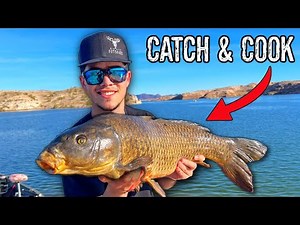 Carp: Trash Fish or Hidden Delicacy? (Catch and Cook)