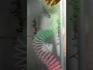 Transverse and Longitudinal Waves Slinky spring