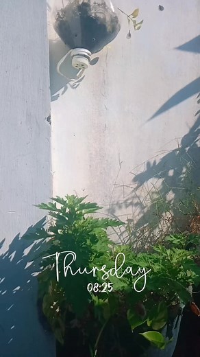 Beverly Kim on Reels