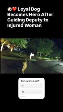 🐶❤️ Loyal Dog Becomes Hero After Guiding Deputy to Injured Woman