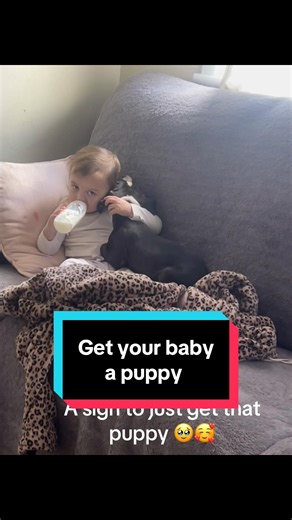 A few life regrets… but my kids and these puppies? Best decisions ever 😜🐶❤️ #dogtok #puppies #fyp #fypシ #babylove