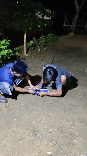 192K views · 538 reactions | parakeet clipping at night  | Faisal Madura | Facebook