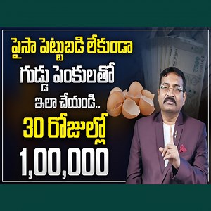 435K views · 6.1K reactions | BVSS Reddy : How To Start Egg Shell Powder Business | Earning lakhs per month | Money Management |SumanTV Money #viral #moneytips #trendingnow #sumantvmoney #billionaire #moneymanagement #sumantvmoney | Sumantv Money | Facebook