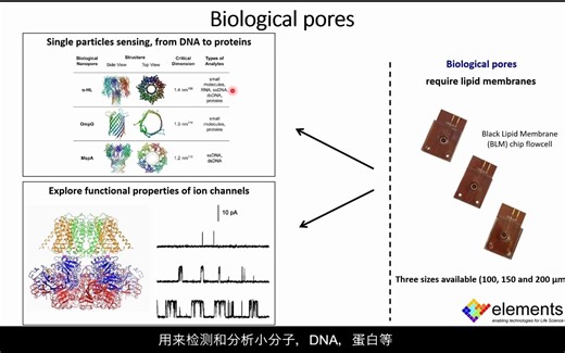 eNPR固态/生物纳米孔放大器