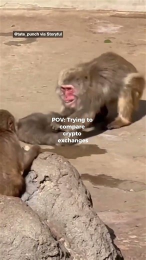 POV when you don’t compare on Crypto Finder…