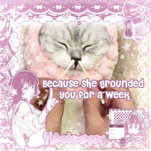 KIRARA rant! #fyp#jjk#jujutsukaisen#kirara#rant#anime#viral#trending#mom#cat