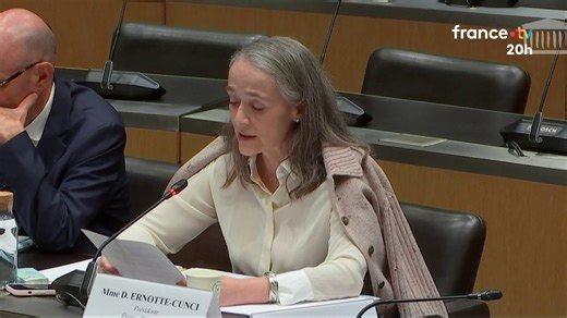 📺🇫🇷 Le débat sur la neutralité de l'audiovisuel public est "légitime" et ce principe constitue une "exigence absolue" pour France Télévisions, a déclaré la présidente du groupe Delphine Ernotte, devant la commission d'enquête parlementaire sur l'audiovisuel public. | Le 20h – France Télévisions