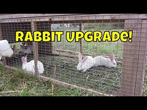 A Real Estate Upgrade for the Rabbits. Moving the Tractors Out To Pasture.