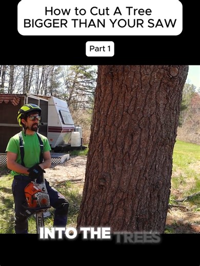 How to Cut a Tree Bigger Than Your Saw - Part 1