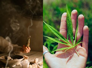 Weird News: Meet the country where people spend more money on weed than chocolate [Video]