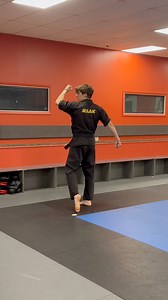 #fypシ #karate #tricking #kicks #flips #shurikencutter #explorepage #explore #trendingreel | the.evan.gendreau