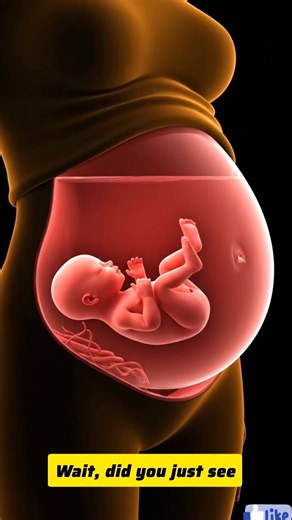 Can You See the Baby Kick Inside the Womb?