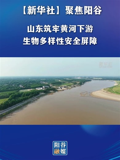 山东筑牢黄河下游生物多样性安全屏障