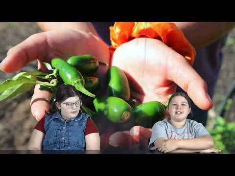 January 28, 2026 | GNN | Student News