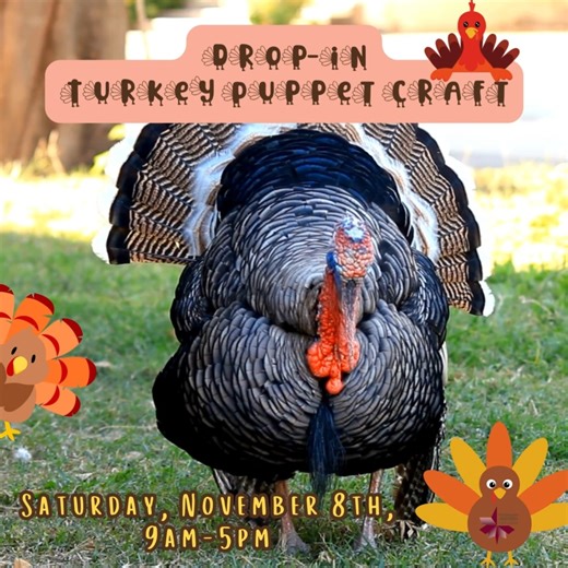 Drop-in Turkey Puppet Craft - Saturday, November 8th, 9 am - 5 pm 🦃 Let's get ready for Thanksgiving by making a very special turkey! We will use a simple paper bag, colorful feathers, and a little imagination to create your very own gobbling buddy. Your finished puppet is perfect for a festive play, or can be used as a special decoration for your Thanksgiving table. What will your turkey look like? Open to children of all ages. No registration required. QUESTIONS? Call: 732-583-9100 or email: 