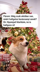 93K views · 1K reactions | Rádió 1 on Reels | Facebook