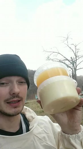 Beekeeping Basics: Understanding Honey Harvesting Techniques