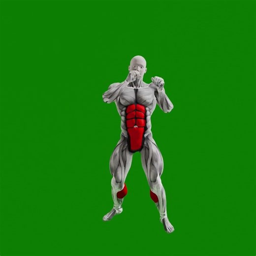 3d workout exercise animations