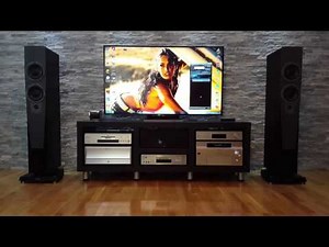 dynaudio contour 3.4 (2)