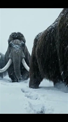 Mammoth Migration