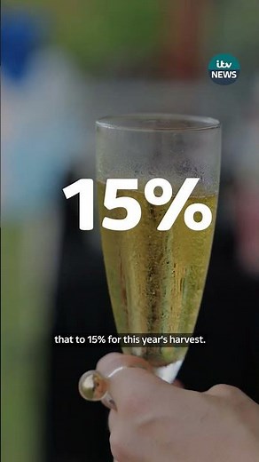Why Champagne could be more alcoholic after France's extreme heatwaves