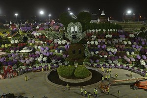 89K views · 2.7K reactions | Mickey is a record breaker! Check out this 18.6-metre-high floral structure of Mickey Mouse at Dubai Miracle Garden. This topiary is officially the tallest supported topiary sculpture in the world! | Mickey Mouse | Facebook