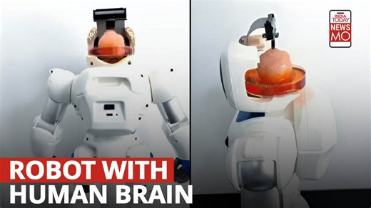 Chinese scientists build a robot with human brain