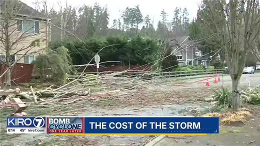 VIDEO: Who’s really paying for the cleanup of last year’s bomb cyclone?