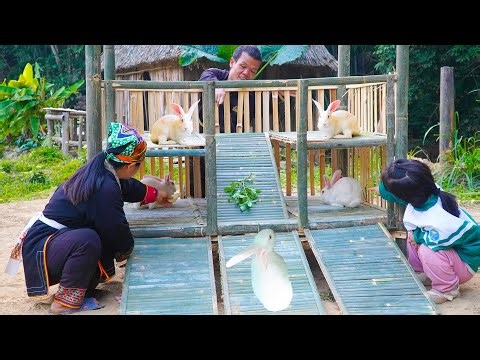 Dwarf Family Building a Shelter for the Hares | Primitive Happy Life