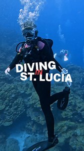 36 reactions | Suit Up in St. Lucia with the Henderson Thermoprene...