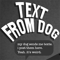 Texts From Dog | Know Your Meme