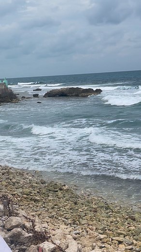 Robert Apter on Reels