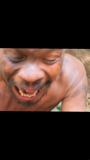 Wild Jungle Chicken Cooking Adventure