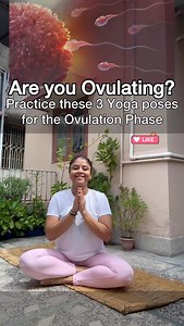 756 reactions · 57 shares | Get Ready to Boost Your Fertility with Yoga! Try these 3 Simple Routines at Home to Enhance Conception. Yoga can reduce stress, improve circulation and promote hormonal balance during ovulation. Remember to be gentle with your body and take breaks when needed. | Thefitmamma Thefitmamma | Facebook