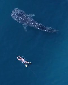 17K views · 817 reactions | Family holiday goals have never looked so...