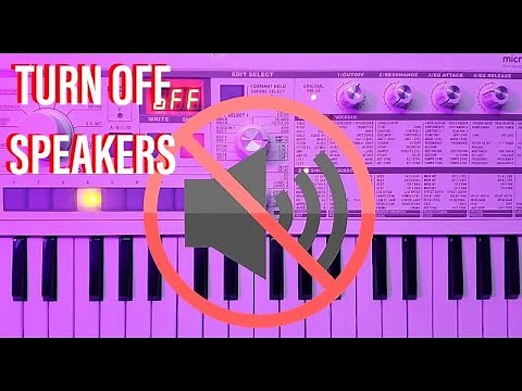 How To Turn Off Speakers On MicroKorg S