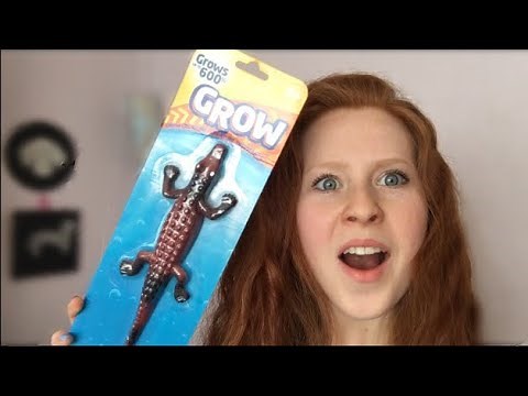 Grow Your Own Creature Time Lapse