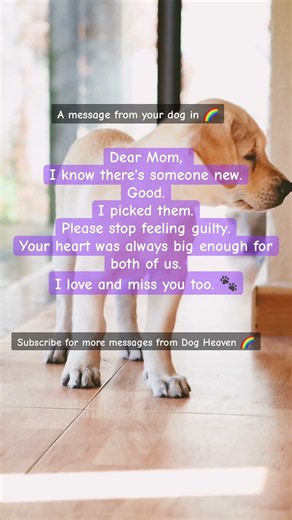 Feeling guilty ￼about getting a new dog once your soul dog died?