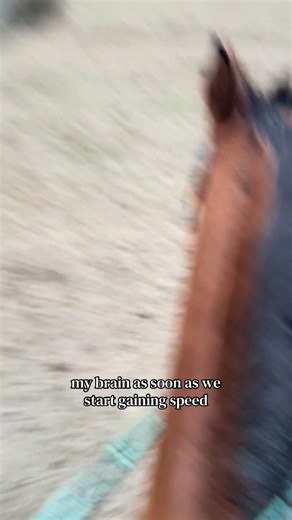 Slow and Steady on Grass: Barrel Racing Experience