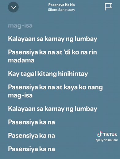 #lyrics #fyp #fullsong #spotify