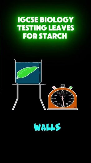 This practical appears every year in IGCSE Biology exams Don't lose those easy marks