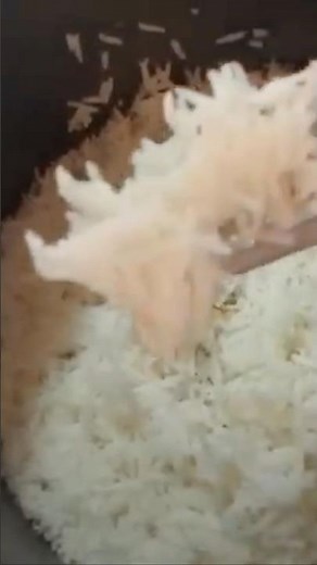 Learn to cook perfect BASMATI RICE every time 😋 ENJOY 😍 #food #cooking #rice