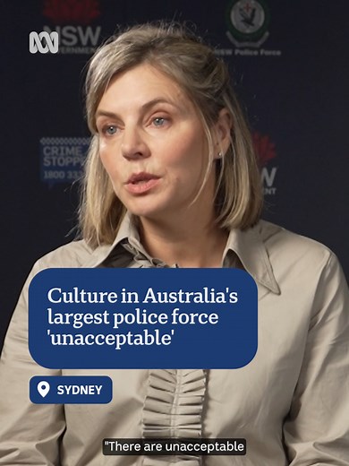 NSW Police report: Bullying, discrimination and sexual harassment findings