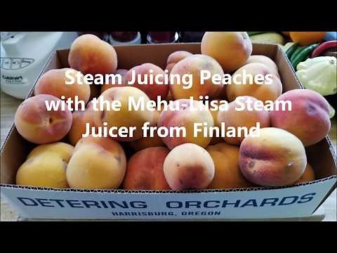 Canning with Mehu-Liisa video series: Steam Juicing Peaches