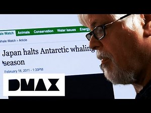 Sea Shepherds Get Japanese Government To Call Off Whaling Season | Whale Wars