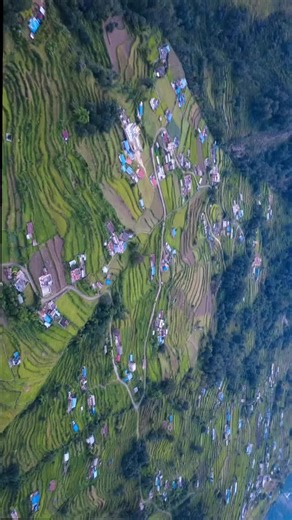 dorje (@sngdorje)’s videos with original sound - dorje