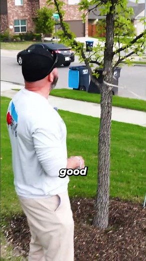 How to Mulch Around a Tree!