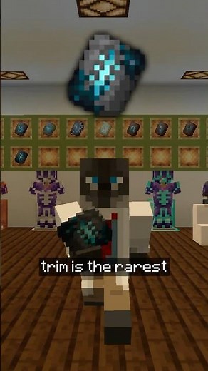 How To GET The Silence Armor Trim In Minecraft