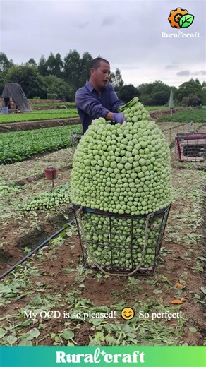 This Farmer is a VEGGIE Stacking LEGEND!👑 My OCD is SO HAPPY Watching This Perfect Pile! #vegetable